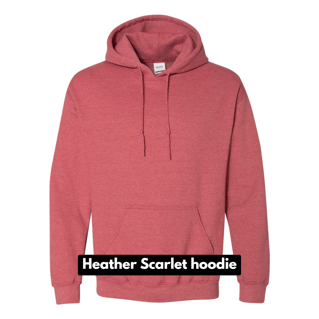 Swahn Balanced Health scrunch bleach hoodie